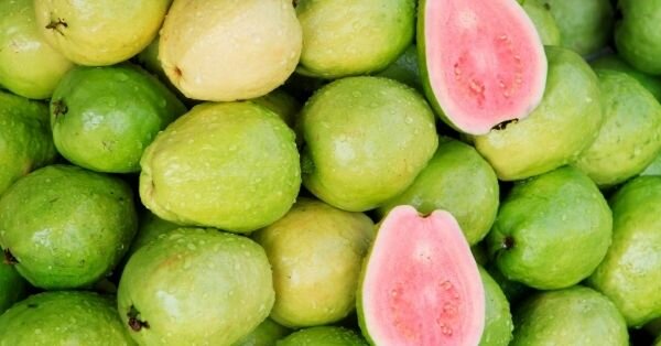 In welk fruit het Vitamine 10] | Fruitsnacks